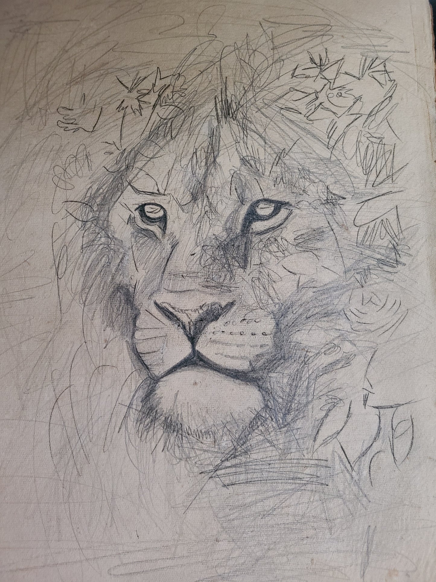 "Oracle" - Original Sketch